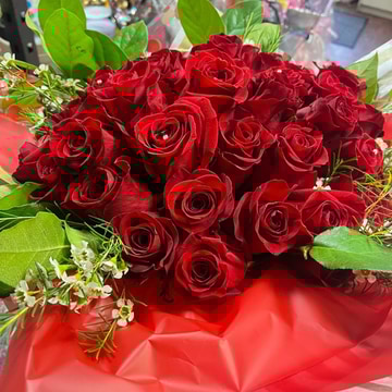 Love roses