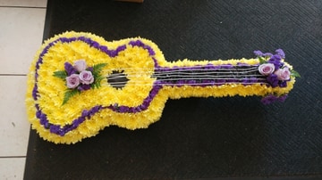 2d acoustic guitar