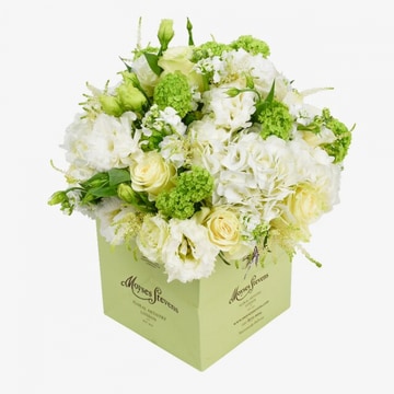 White and green