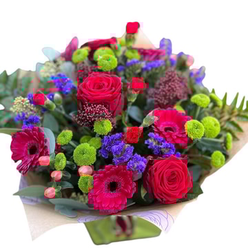 A burst of colour