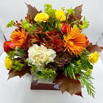 Orange autumn gift box