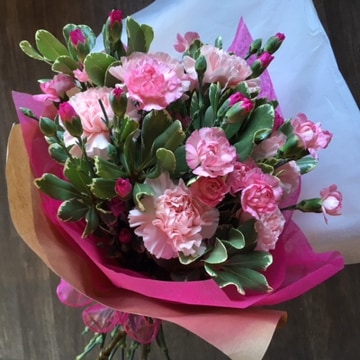 Carnation sensation