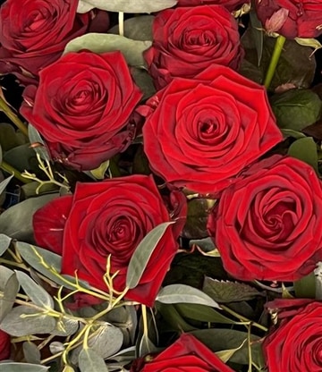 Half dozen roses