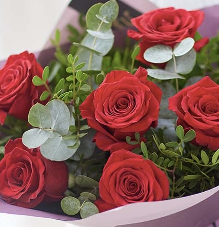 Dozen red roses