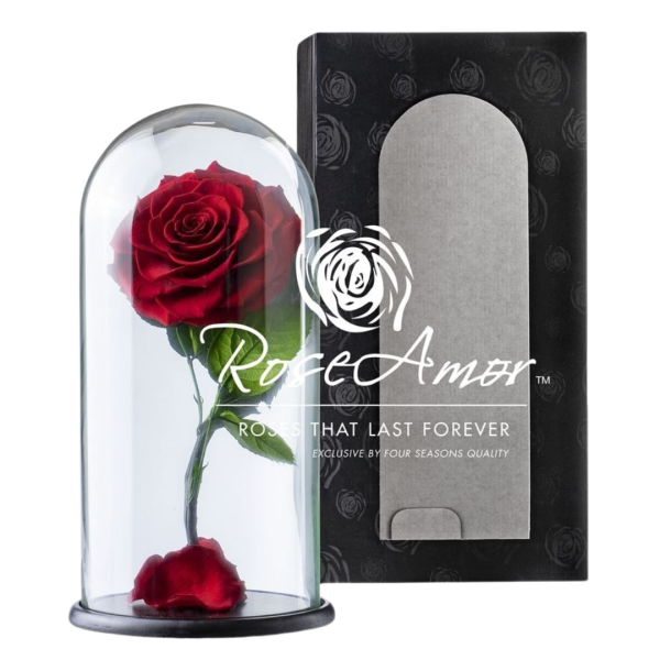 Forever rose