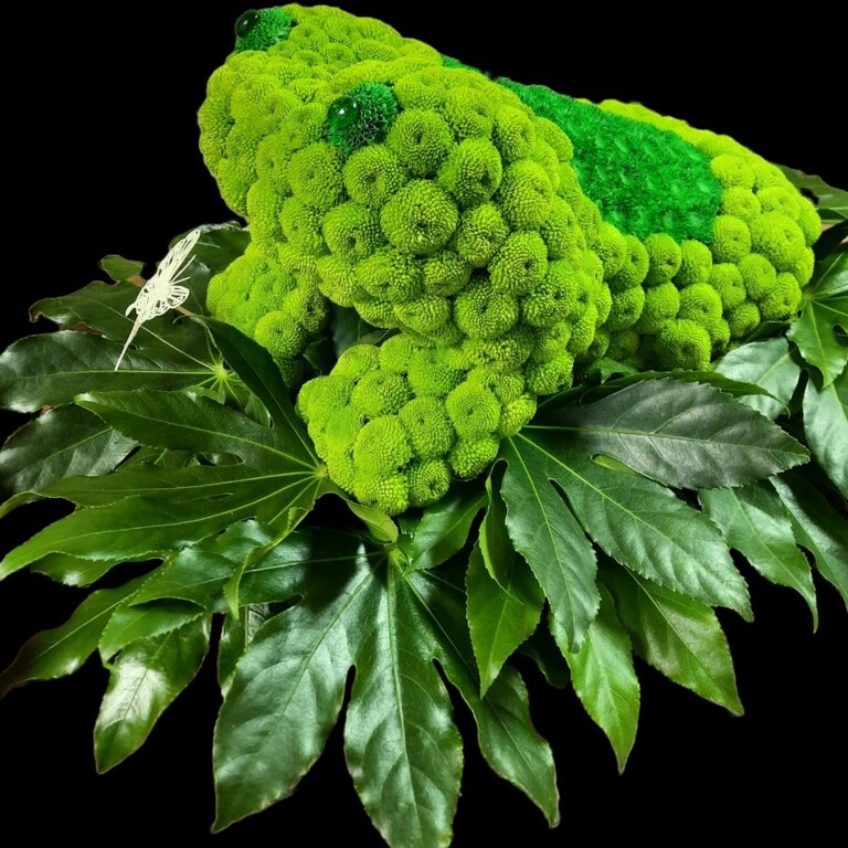 3d frog tribute