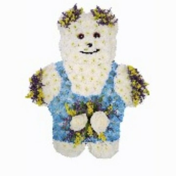 Teddy bear