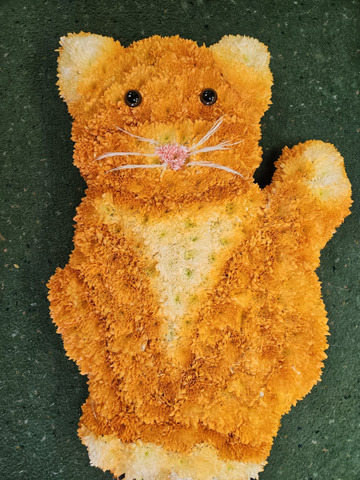 Cat funeral tribute