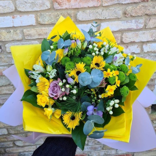 Spring explosion