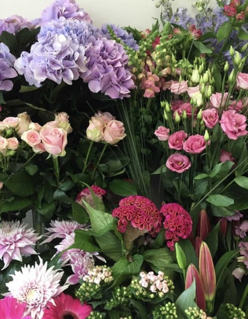 Pinks and purples
