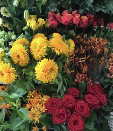 Yellows and oranges