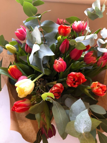 Tulips galore