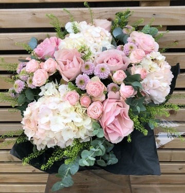 Blush beauty ian lloyd
