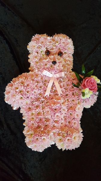 Teddy tribute