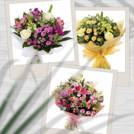 Florist choice aqua