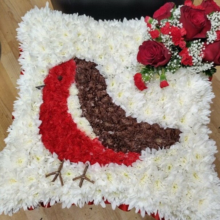 Robin cushion