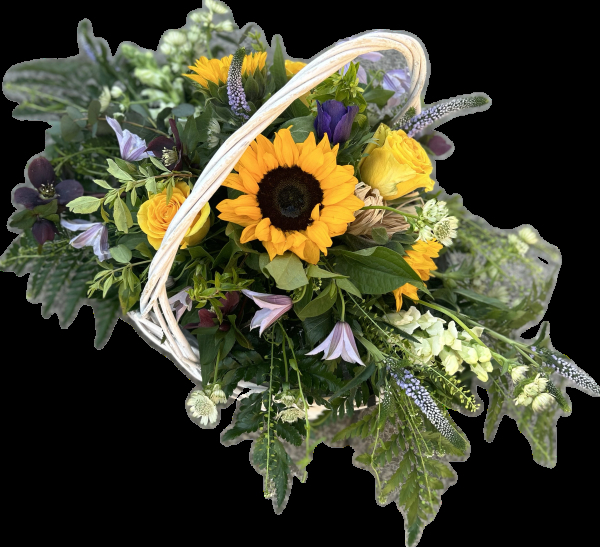 Sunflower delight