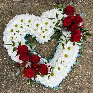 Daisy open heart