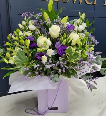 Lilac wonder