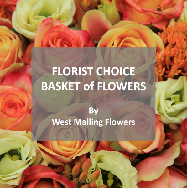 Florist choice basket