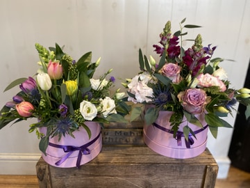 Hat box lilac haze