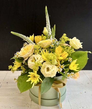 Hat box arrangement-sa