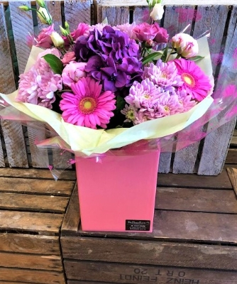 Florist choice aqua