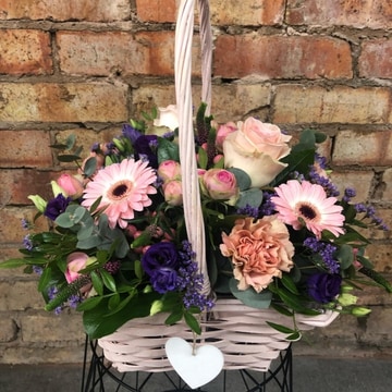 Basket of dreams