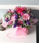 Pretty petals