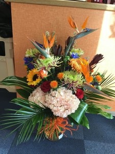 Birds of paradise