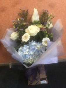 Blue hydrangea