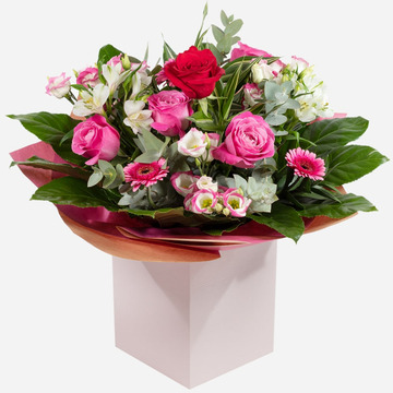 Enchanted roses