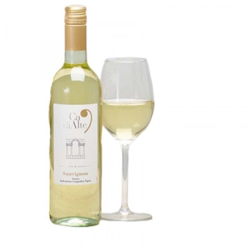 Ca di alte pinot grigio