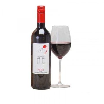 Ca di alte merlot