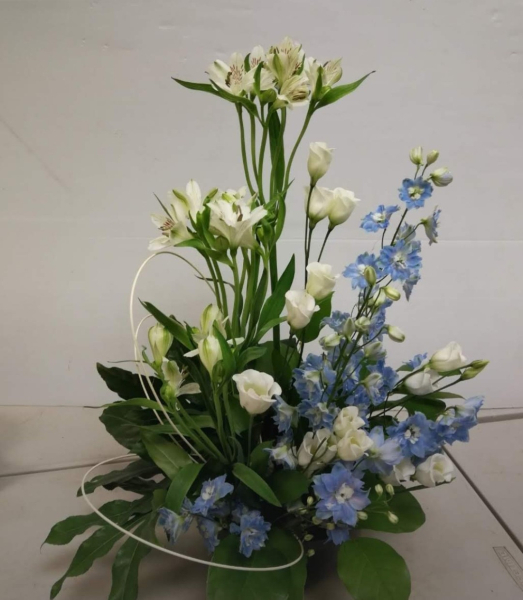 Front facing arrangement