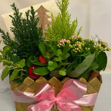 Planted basket