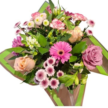 Pink garden delight