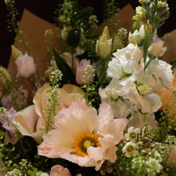 Designers choice pastel
