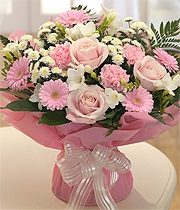 Blush pink