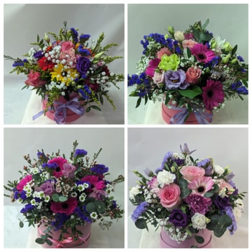 The small round hatbox