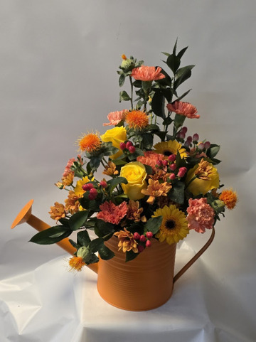 Y-o watering can