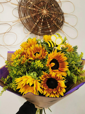 Stanleys sunflower