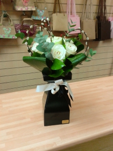 Black and white aqua