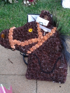 Horses head