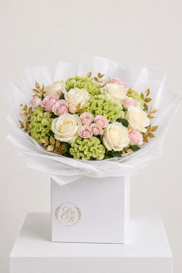 Celosia blush