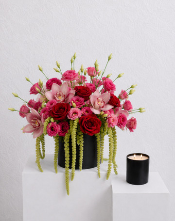 The valentina hatbox