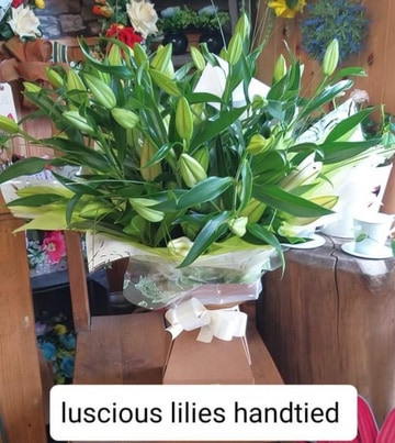 Luscious lilies
