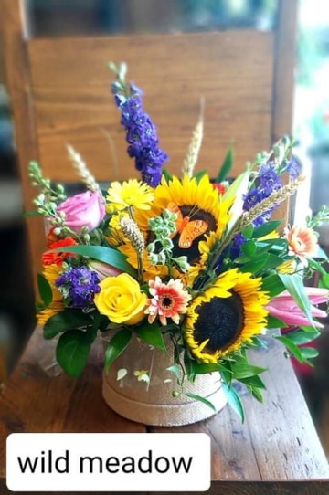 Wild meadow