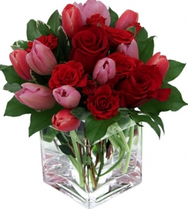 Hot tulips and roses