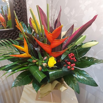 Exotic arrangement